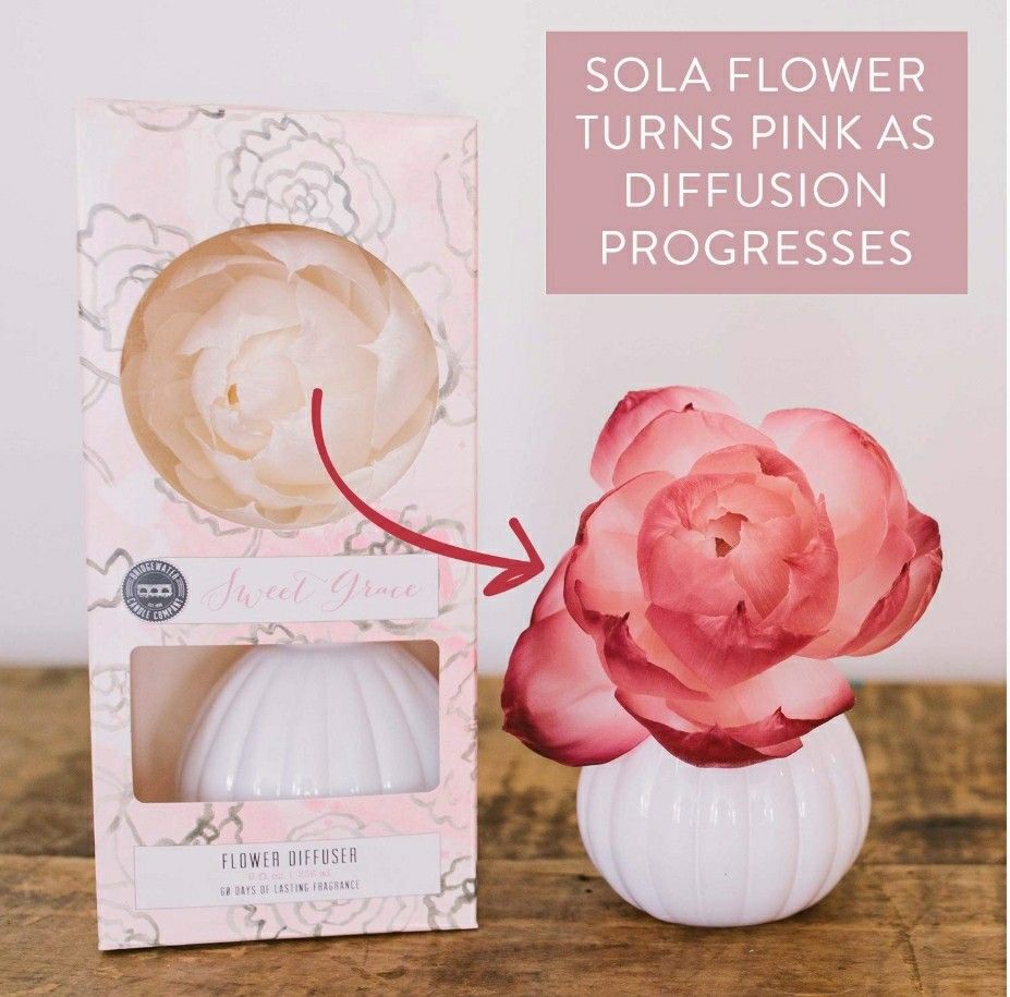 Sweet Grace Flower Diffuser--60Days of Fragrance-Pink Flower Scented Freshener