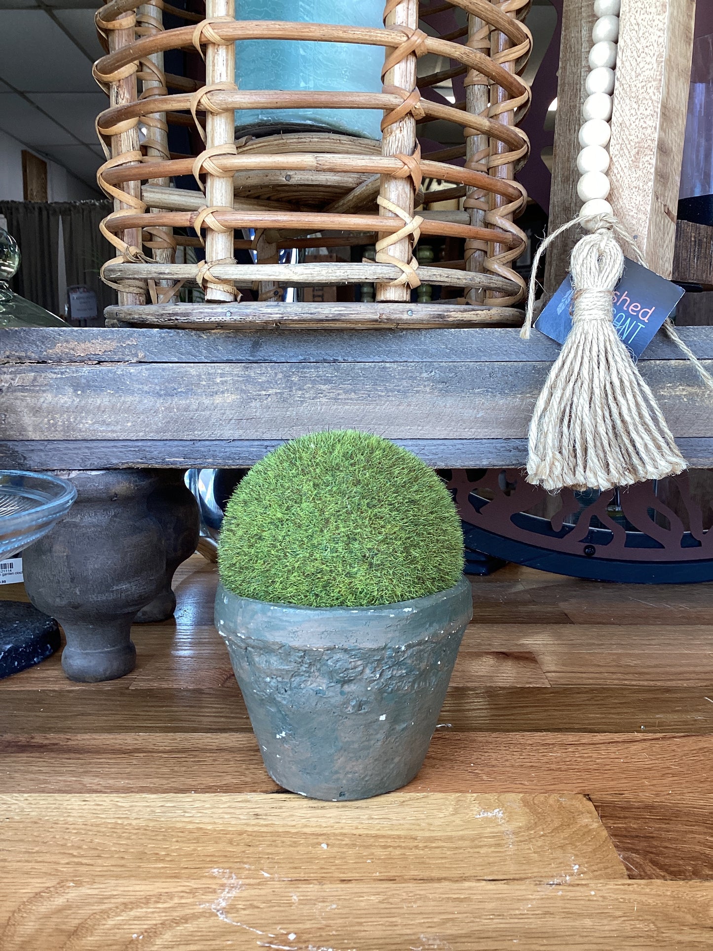 LG Reserved Moss Small Pot