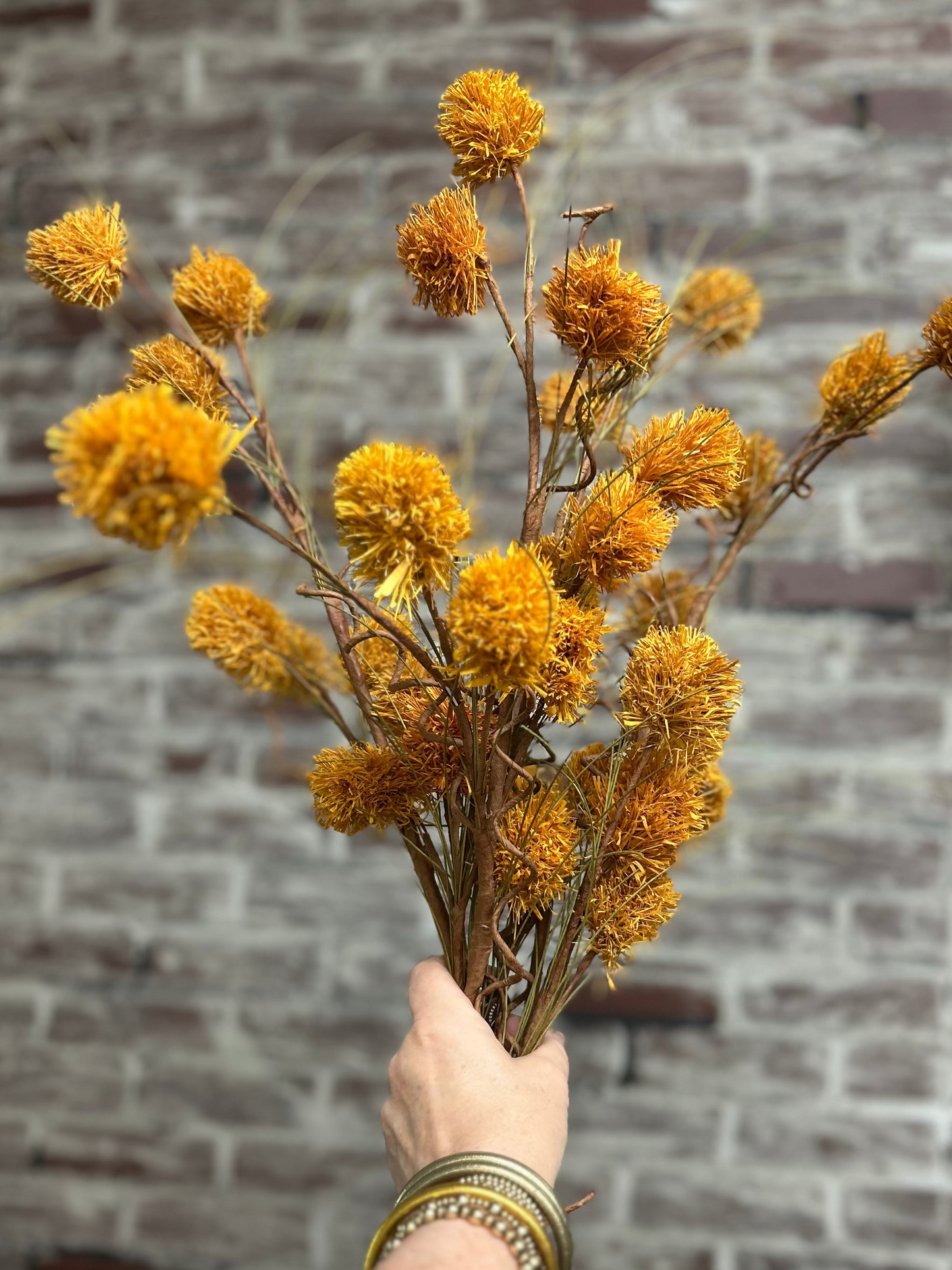 Golden Acorn Pod Stem