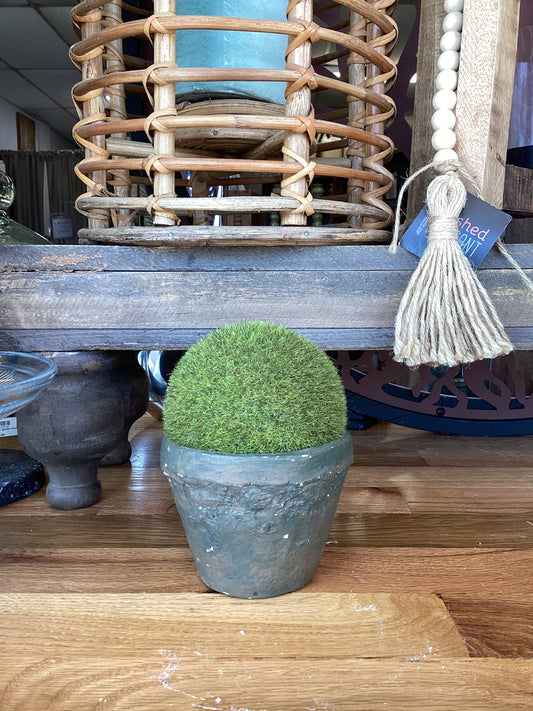 LG Reserved Moss Small Pot
