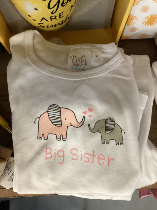 Big Sister Shirt