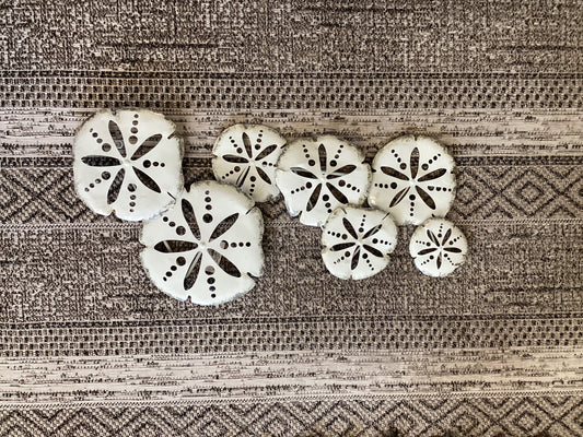 Iron Sand Dollar Wall Decor