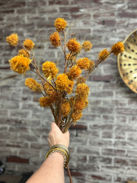 Golden Acorn Pod Stem